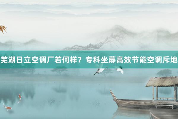 芜湖日立空调厂若何样？专科坐蓐高效节能空调斥地